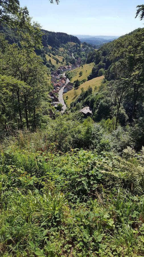 Fewo Bergblick Osterode am Harz Kültér fotó